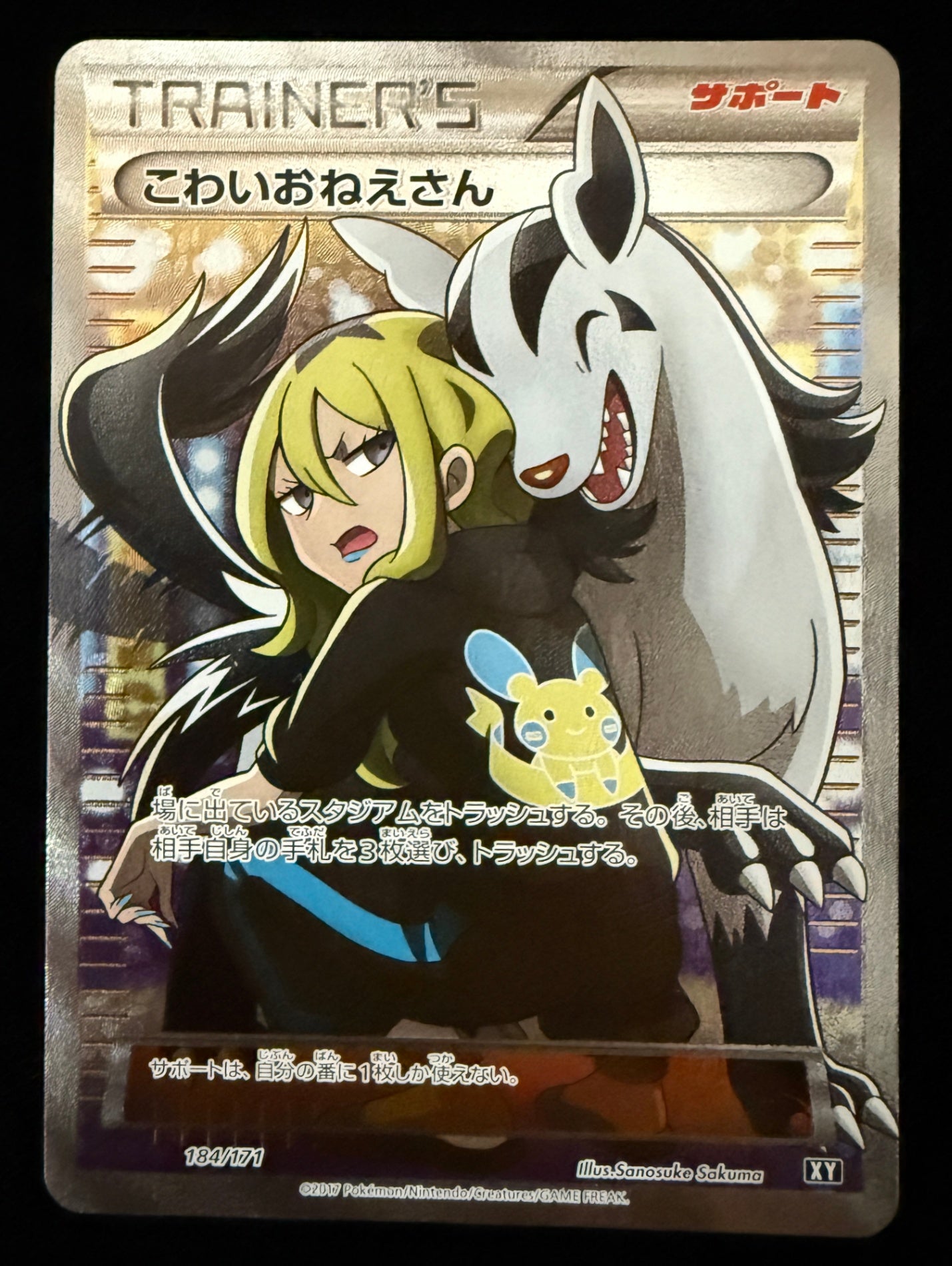 シングル】 184/171/XY/B こわいおねえさん – サポートチャンス