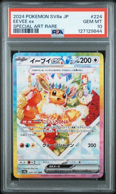 ブイズ – サポートチャンス