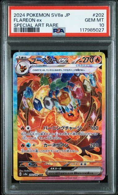 ブイズ – サポートチャンス