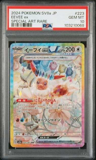 ブイズ – サポートチャンス